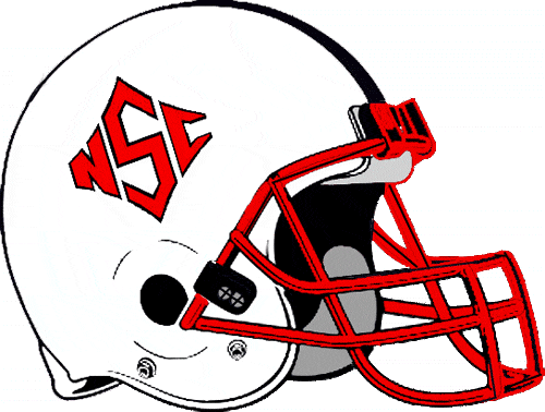 North Carolina State Wolfpack 1986-1998 Helmet Logo t shirts DIY iron ons